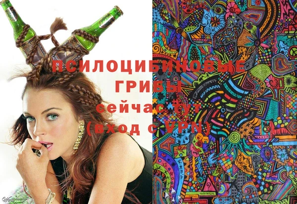 первитин Алексеевка