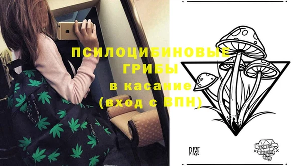 соль ск Алексин