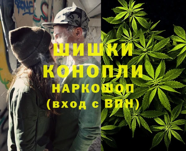 соль ск Алексин