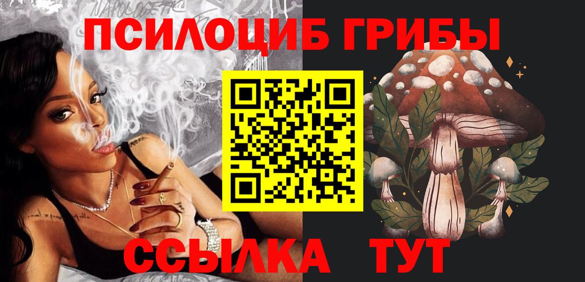 Галлюциногенные грибы Cubensis  Вход с VPN  Галлюциногенные грибы мухоморы  Балахна 